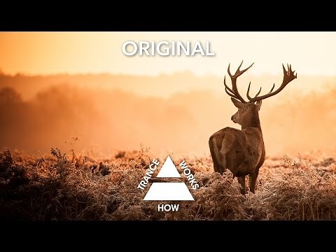 Abstract Vision & Sarah Lynn - The Very Center Of Me (Original)