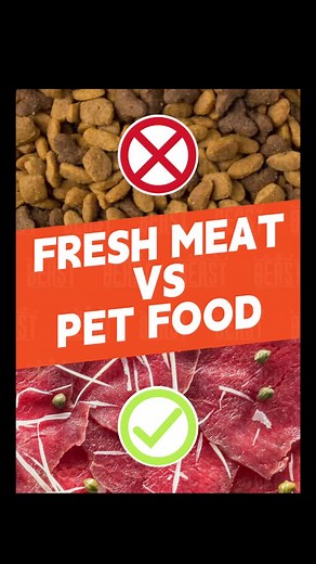 Fresh Meat or Pet Food? No! BEAST.USA coming!