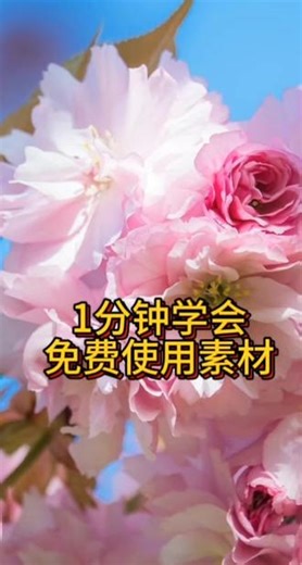 如何灵活使用 剪映中的素材？#视频剪辑#剪映 #自媒体