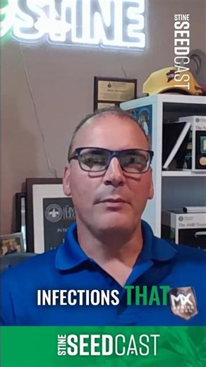 How to identify southern rust and common rust