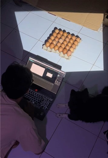Projection mapping biji Saitama 🥚 #projectionmapping #visualmapping