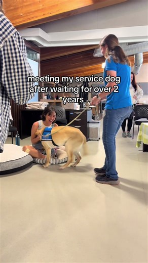 Meeting My Service Dog After Two Years: Emotional Reunion