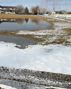 Garden Answer on Reels