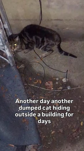 8.7K views · 3.5K reactions | This is in a small space between...