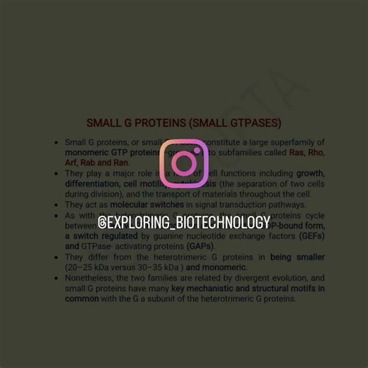 SMALL G PROTEINS (SMALL GTPASES)