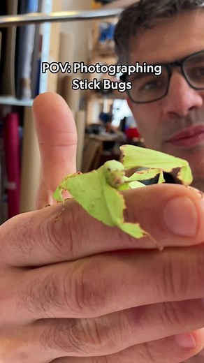 you may even call some of them cuddle bugs 🥹 Read more at the link in bio and stream #ARealBugsLife on @Disney !