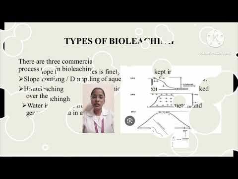Microbial leaching of ores and it's process