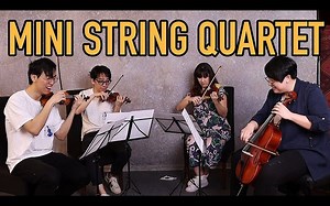 【迷你乐器四重奏】不同乐器尺寸的弦乐四重奏