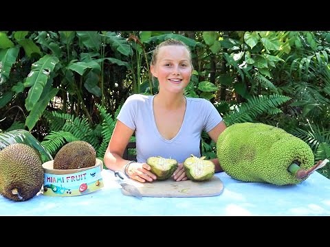 How To Tell When Jackfruit is Ripe PLUS 3 Fun Ways to Eat It!