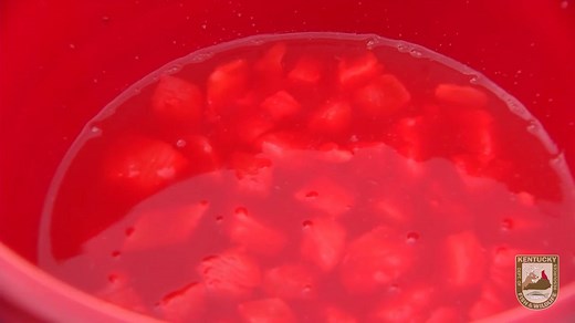 We're reaching back a few years to help you get ready for some fun summer fishing! Check out this "Homemade Catfish Bait" recipe that we origionally aired in 2016, and then hit the water and put it to use! Remember, you can find more tips and great videos on YouTube anytime by searching "Kentucky Afield". | Kentucky Afield