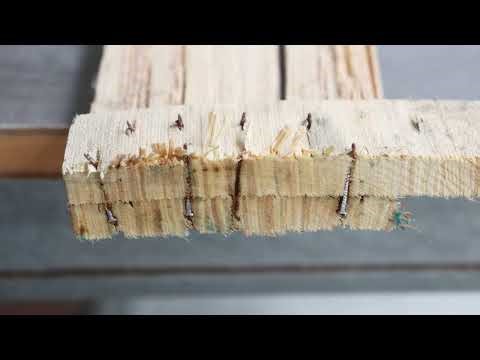 5" Carbide Root Saw Blade – Cuts Like Butter 🔥#RootSawBlade #WoodCutting #ToolDemo #PowerTools