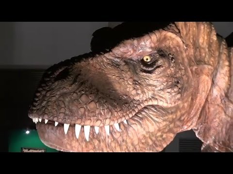 【恐竜 動画 子供向け】恐竜博のリアル動画！ティラノザウルスやトリケラトプスの恐い鳴き声が満載【dinosaur kids】