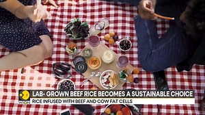 1.9K views · 54 reactions | Lab-grown beef rice becomes a sustainable choice Hybrid rice infused with cow fat cells could be the future of sustainable protein sources Priyanka Sharma Pahwa brings you this report Watch more: https://www.wionews.com/videos | WION | Facebook