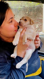 51K views · 4.3K reactions | Puppy love and care #puppy #puppies #puppylove #puppylovers #puppylife #dogmother #dogmom #dog #dogs #dogfood #doglife #doglover #doglovers #supportus #blessings #love #reels #viral #instareels #insta #instagram #fb #fbreels #fbreelsvideo #fbreelsfypシ゚viral | Bezubaanjaan1517 | Facebook