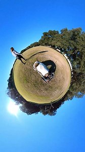 38K views · 2.3K reactions | We gave our wheelie dog a 360 camera! More crazy Pigeon videos incoming! | Pigeon - The Wheelchair Pup | Facebook