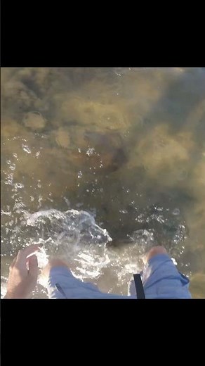 Catching stingrays gone wrong!!! Pt 2