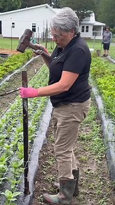 12K views · 2.7K reactions | We work to hard to not sell the flowers...