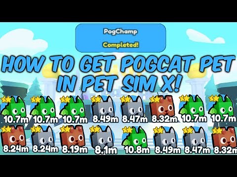 HOW TO GET POG CAT AND OTHER POG PETS IN PET SIMULATOR X!!! | Roblox Gameplay