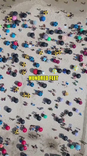 The ocean's DEADLY secret