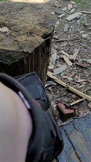 Sitting Outside With My Animals. Such A Bummer I Can't Walk With Them Because I have Broken Ankle