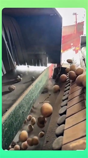 This machine can detect and sort out foreign objects as items pass through it, ensuring cleaner