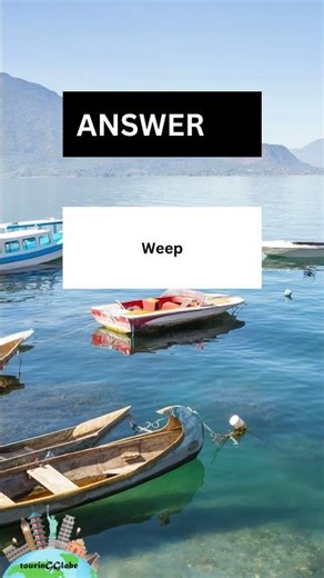 FUN Synonym QUIZES to Test Your Vocabulary!