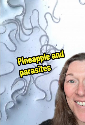 Pineapple Benefits for Anti-Parasitic Diet