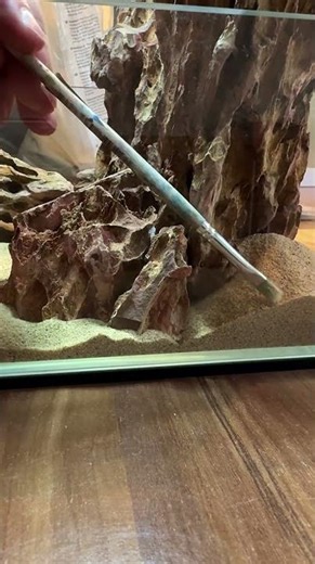 Scaping a Nanotank with Dragonstone … Part 2