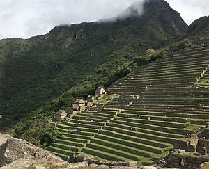 Foods | National Museum of the American Indian