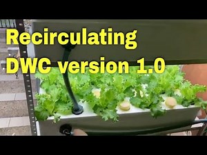 Recirculating DWC on my Vertical Hydroponic Garden