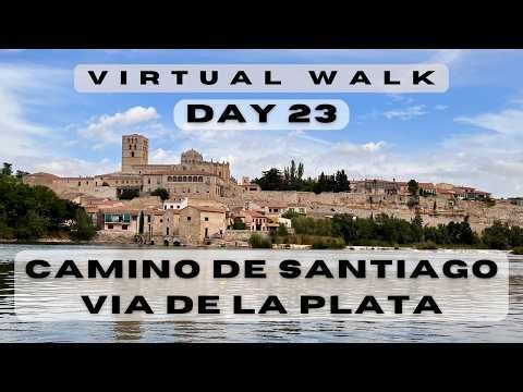 Day 23: Camino de Santiago - Via de la Plata: Villanueva de Campeán to Zamora (Virtual hike; 4k)