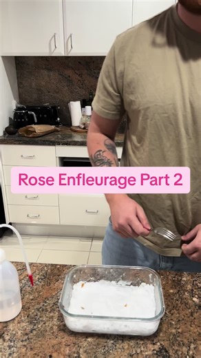 Rose Enfleurage Part 2: Uncovering Perfume Secrets