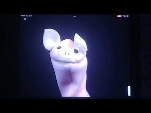 Neighborhood Animals 60fps