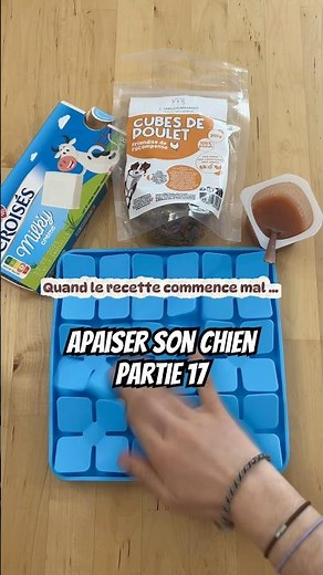 Part 17 🐾 | When the recipe starts off badly… 😅