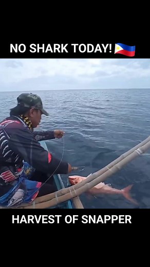 152K views · 2.3K reactions | Today no encounter with Shark we harvest Ruby snapper or Red snapper Godspeed 蘭 | Kuys Dagz Fishing | Facebook