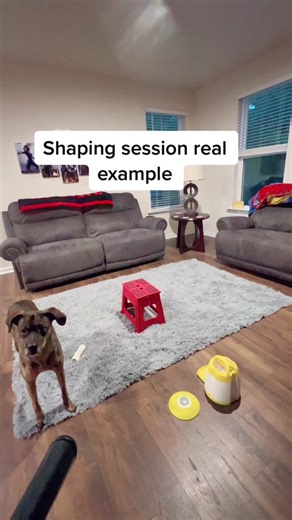 Shaping in Dog Training: A Mental Exhaustion Technique
