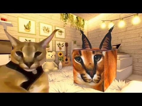 When hecker meets Floppa