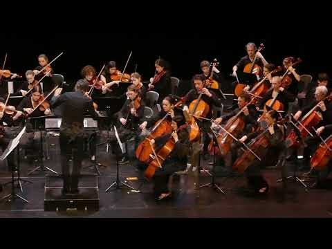 Vivaldi : Concerto pour cordes / Geminiani : concerto grosso La folia (extraits)