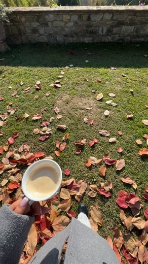 ‏#Italia #xplore #viral #xplore 🇮🇹