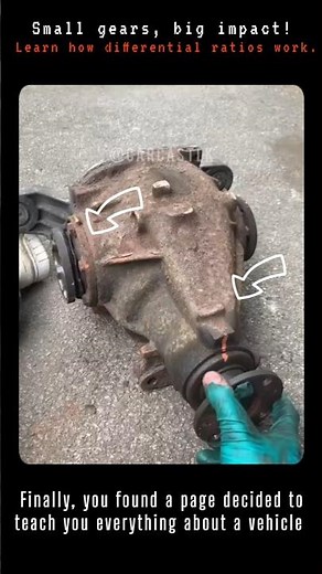 How to Check Differential Ratio in Your Car #carcommunity