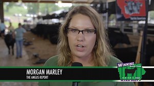 7.3K views · 76 reactions | Time to chant! National Junior Angus Association member Connor Cook is looking to follow in his family's footsteps and become an auctioneer! Thanks to #NJAS17 clinics, more juniors will hopefully find their calling! | American Angus Association | Facebook