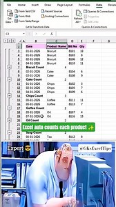 Excel Auto Count Repeated Items 🔥 | Subtotal COUNT Shortcut (Alt + A + B)