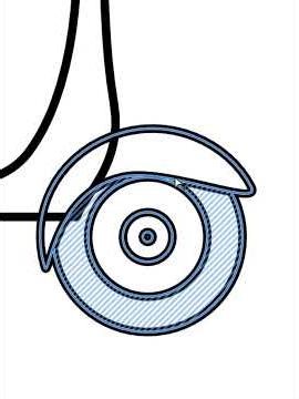 Affinity: Advanced Techniques for Extraordinary Shapes | Vector Graphics Tutorial