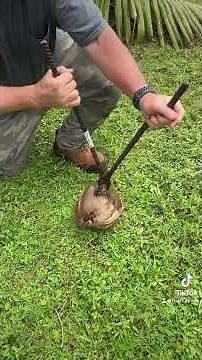 A Cool Manual Coconut Husker