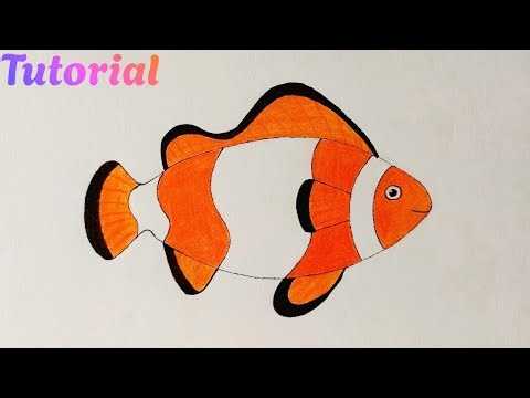 How to Draw Clown Fish - Step by Step Tutorial For Kids