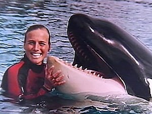 Questions surround death of SeaWorld trainer