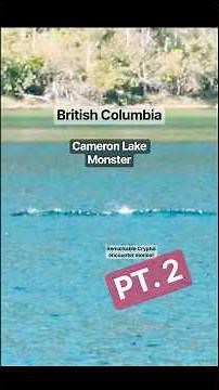 Cameron Lake Monster Pt. 2 + Bridgette’s ‘prehistoric’ Cryptid story #cryptozoology