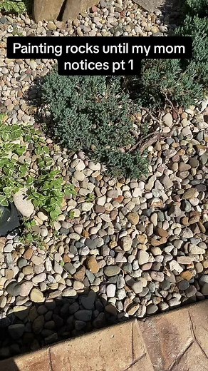 PAINTING ROCKS!!#rockpainting#painting#rocks#fyp#blowthisup