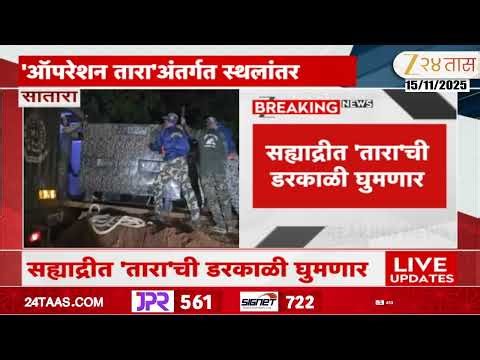 Tadoba Chanda Tigress Shifted | ताडोबातील 'चंदा' वाघिणीचं सह्याद्री व्याघ्र प्रकल्पात स्थलांतर