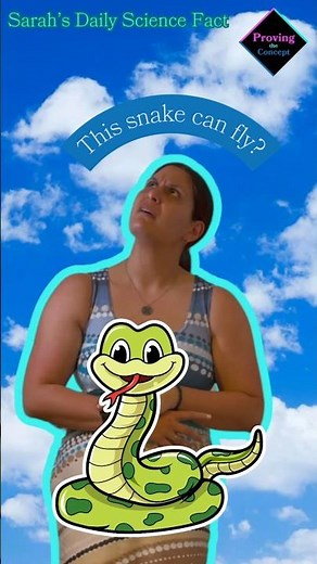 This snake can glide through the air?